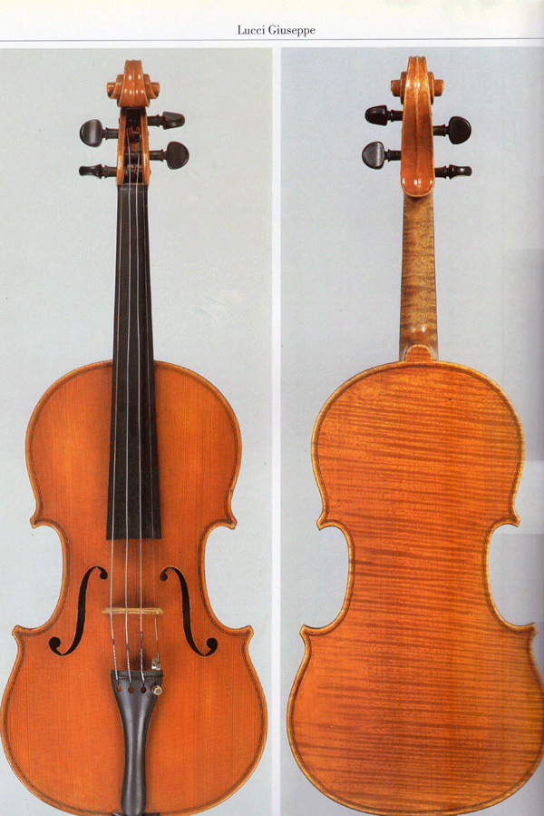 介绍意大利名琴1850—1950  (图)